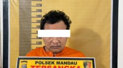 Polsek Mandau Kembali Ringkus DPO Narkotika Di Talang Mandi