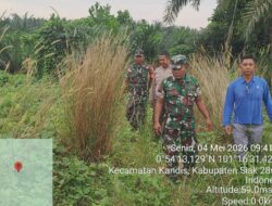 Babinsa Kandis Kembali Melaksanakan Giat Rutin, Yaitu Patroli Karhutla