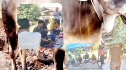 Masyarakat Aceh Duri Salurkan Ratusan Kilo Daging Qurban