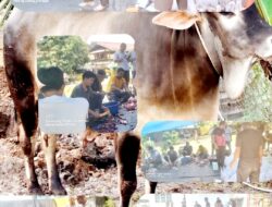 Masyarakat Aceh Duri Salurkan Ratusan Kilo Daging Qurban