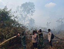 Diduga Lahan Akasia PT Priatama dan PT SRL Di Tanjung Kapal Rupat Terbakar