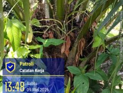 Manajemen PTPN IV Kebun Laras, Sangat Sulit Di Temui Wartawan..