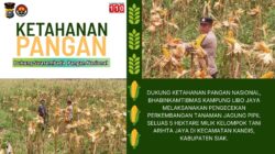 Polsek Kandis Pastikan Program Ketahanan Pangan Berjalan Baik di Kampung Libo Jaya