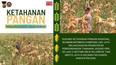 Polsek Kandis Pastikan Program Ketahanan Pangan Berjalan Baik di Kampung Libo Jaya