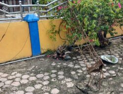 Diduga Ada Mark Up Anggaran WiFi Desa, Tiap Desa Dialokasikan Rp18 Juta  BATU BARA –