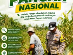 Jagung 96 Hari, Harapan Negeri Makin Tumbuh, Polsek Kandis Pantau Lahan Petani