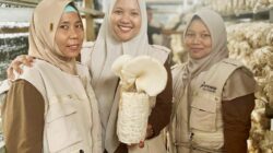 Demi Kemandirian UMKM PT. PHR Zona Rokan Lakukan Pendampingan
