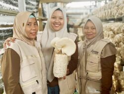 Demi Kemandirian UMKM PT. PHR Zona Rokan Lakukan Pendampingan