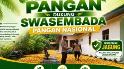 Polsek Kandis Laksanakan Penjemuran Jagung Pipil Hasil Panen 5 Hektare, Dukung Program Ketahanan Pangan Nasional