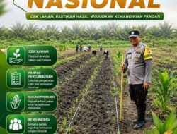Demi Indonesia Mandiri Pangan, Polsek Kandis dan Petani Ayu Makmur Tanam Jagung 15 Hektare