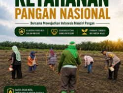 Polsek Kandis Kawal Pengolahan Lahan Jagung Pipil, Dukung Ketahanan Pangan Nasional