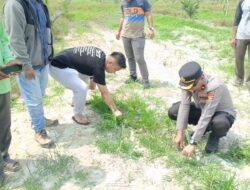 Kapolsek Kandis Dampingi Tim SDM Polda Riau Tinjau Lahan Jagung 12 Hektare di Kandis