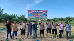 Polsek Panipahan Laksanakan Penanaman Jagung Kuartal III Dukung Program Asta Cita Presiden RI