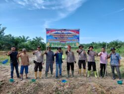 Polsek Panipahan Laksanakan Penanaman Jagung Kuartal III Dukung Program Asta Cita Presiden RI