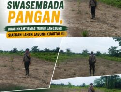 Dukung Swasembada Pangan,Bhabinkamtibmas Turun Langsung Siapkan Lahan Jagung Kuartal III