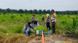 Ketahanan Pangan, Kapolsek Kandis dan Personel Siapkan Kebutuhan Air untuk Tanaman Jagung