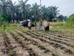 Ketahanan Pangan, Kompol Herman Pelani, Pengolahan Lahan Menjadi Tahapan yang Penting