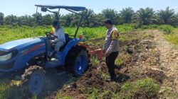 Polsek Kandis Kawal Pengolahan Lahan Jagung Kuartal III, Dukung Swasembada Pangan Nasional