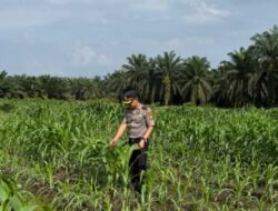 Kapolsek Kandis Maknai Semangat Merah Putih, Merajut Persatuan, Menjaga Ketahanan Pangan