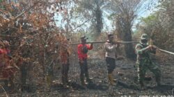Ekosistem Gambut HPT Desa Buluh Apo Pinggir Hangus Terbakar