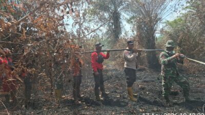 Ekosistem Gambut HPT Desa Buluh Apo Pinggir Hangus Terbakar