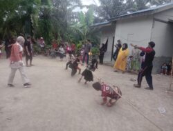 SEMARAK HUT RI KE-81 DI RT 03 KAMPUNG BAYANG, KEBERSAMAAN LCKI DAN WARGA SUKSESKAN LOMBA RAKYAT