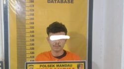 Dsergap Polsek Mandau Pelarian YANBOY Berakhir Di Gang Pepaya Duri