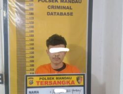 Dsergap Polsek Mandau Pelarian YANBOY Berakhir Di Gang Pepaya Duri