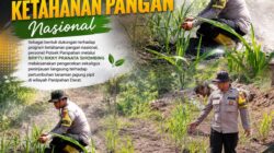 Panipahan Bergerak, Ketahanan Pangan Terjaga