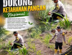 Panipahan Bergerak, Ketahanan Pangan Terjaga