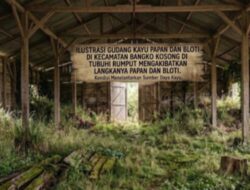 Kayu Papan dan Bloti Langka di Bangko, Warga Resah: Dari Mana Pasokan Kayu Rohil?