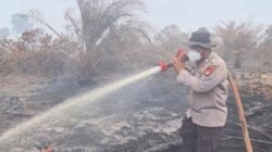 Menurut Kapolres Bengkalis Karhutla Di Area PT TKWL Seluas Tujuh Hektar