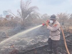 Menurut Kapolres Bengkalis Karhutla Di Area PT TKWL Seluas Tujuh Hektar