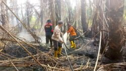 Ribuan Titik Api Hanguskan Bengkalis Korporasi Belum Tersentuh Hukum