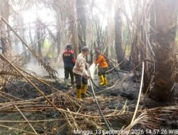 Ribuan Titik Api Hanguskan Bengkalis Korporasi Belum Tersentuh Hukum