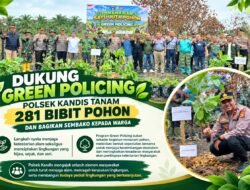 Dukung Green Policing, Polsek Kandis Tanam 281 Bibit Pohon dan Bagikan Sembako kepada Warga