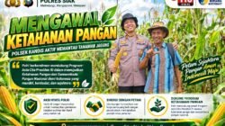 Polsek Kandis Kawal Ketahanan Pangan, Kapolres Siak: Polri Siap Bersinergi dengan Petani