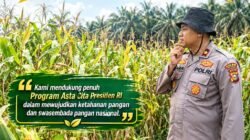 Kawal Asta Cita Presiden, Polsek Kandis Aktif Pantau Perkembangan Tanaman Jagung