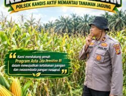 Kawal Asta Cita Presiden, Polsek Kandis Aktif Pantau Perkembangan Tanaman Jagung