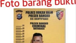 Gerak Cepat! Polsek Bangko Ringkus Pemuda Penganiaya Pria Paruh Baya di Bagan Jawa